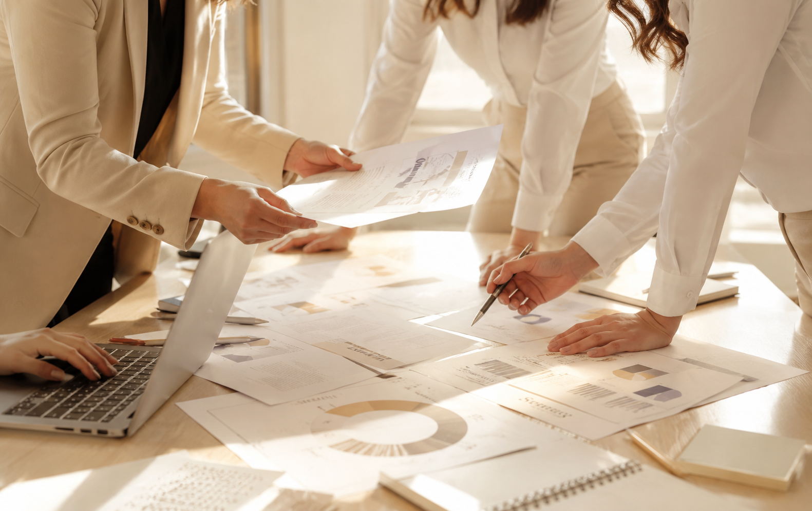 Brand Growth & Performance Strategy